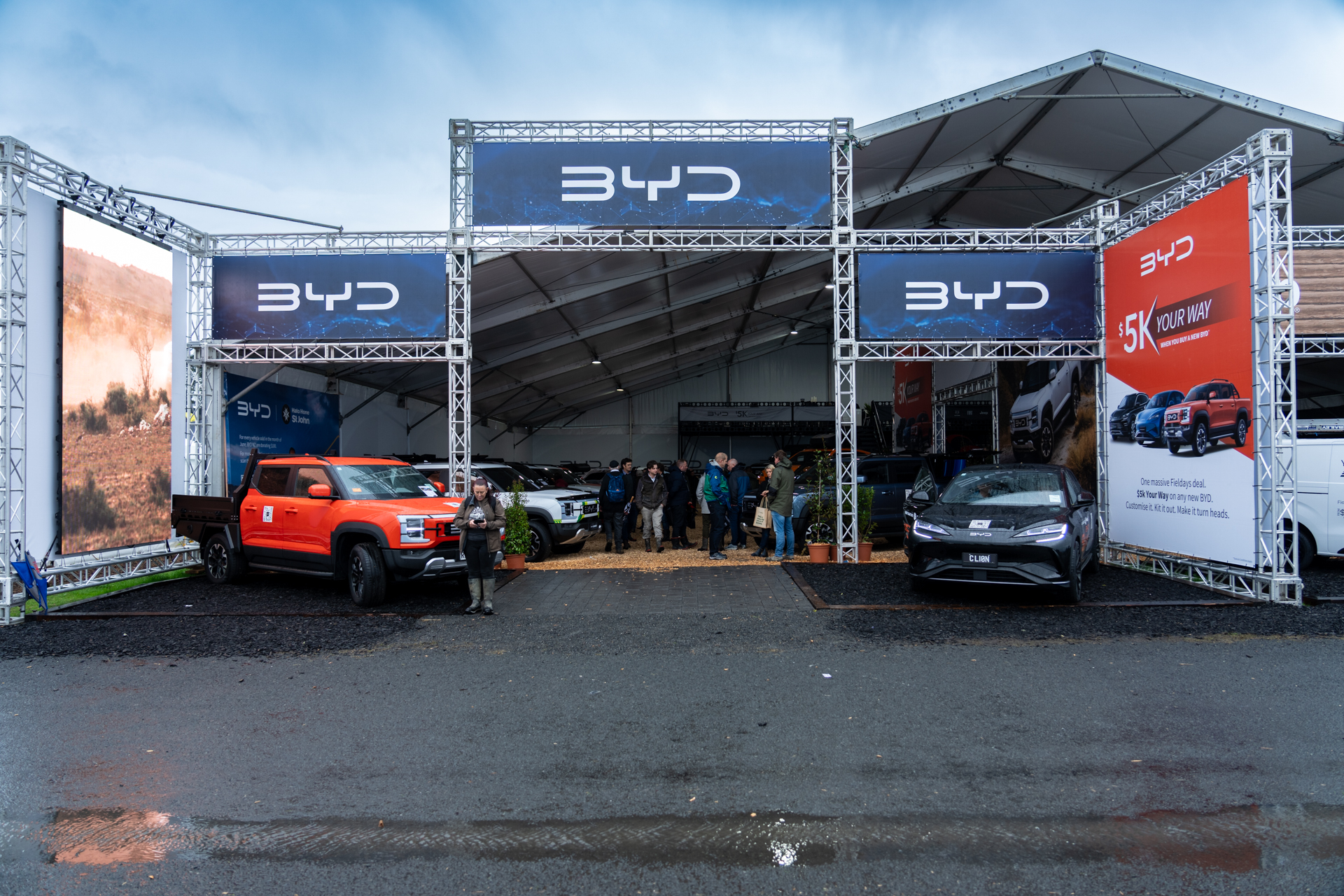 BYD Case Study